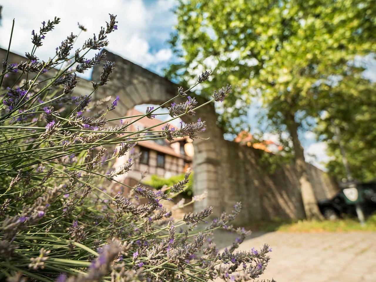 Gaestehaus Moenchshof Sommerhausen Εξωτερικό φωτογραφία